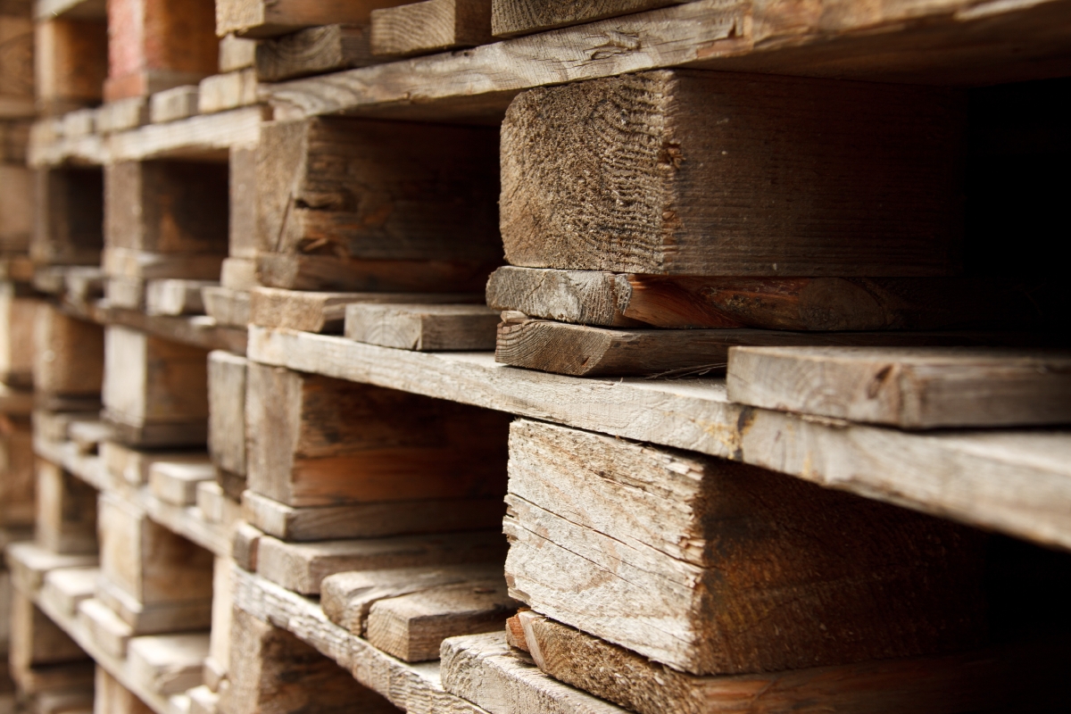 Gebze Palet ve Haktan Palet, Kartal Palet ve Haktan Palet, Pendik Palet ve Haktan Palet, Tuzla Palet ve Haktan Palet, Maltepe Palet firmaları